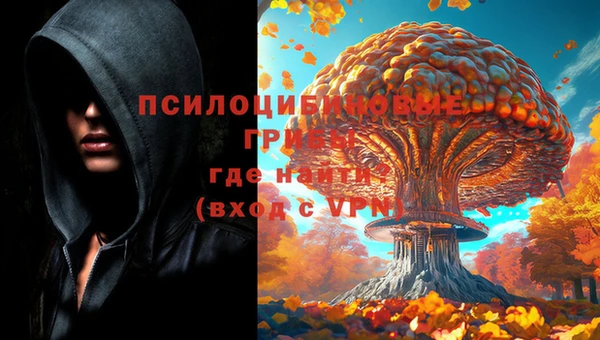 таблы Алексин