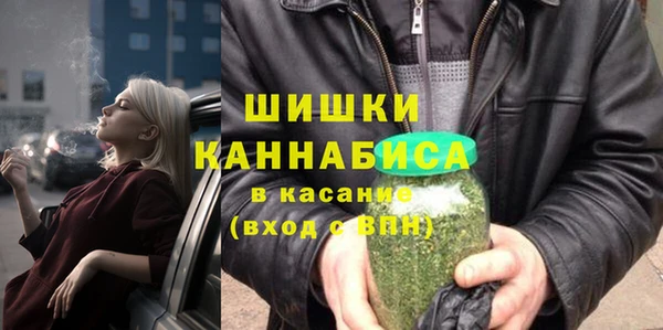 прущие грибы Алексеевка