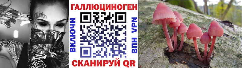 Псилоцибиновые грибы GOLDEN TEACHER  кракен онион  Салехард 